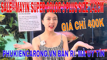 🔴ĐÈN CÁ RỒNG HUYẾT LONG | THANH LÝ ĐÈN MAYIN SUPER COLOR 3 PLUS SIZE 142 GIÁ CHỈ 400K