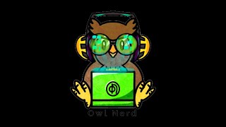Owl Nerd - Tipos primitivos em java