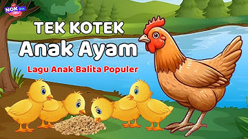 Lagu anak anak - Tek Kotek Kotek Anak Ayam