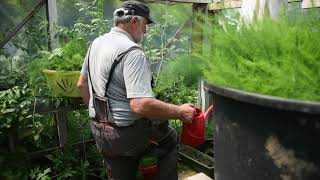 : Sa JEDNOG HEKTARA garantovana zarada 20 HILJADA EVRA - SPARGLA I SMOKVA Banatski Brestovac