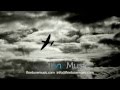 FineTune Music - Avalanche