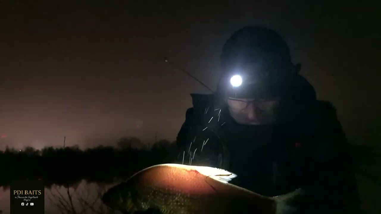 ❄️ Pescuit pe Dunăre în decembrie | Noapte la cort pe frig🥶🎅🎣🎣🎣