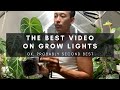 The 2nd Best Grow Lights Video on YouTube?! Supplemental lighting for indoor houseplants | Ep 95