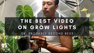 The 2nd Best Grow Lights Video on YouTube?! Supplemental lighting for indoor houseplants | Ep 95
