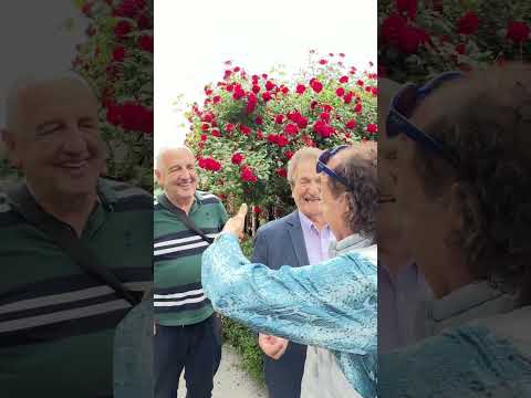 Restoran Brajlović- Nedeljko Bilkić i pjesma Karanfile ❤️