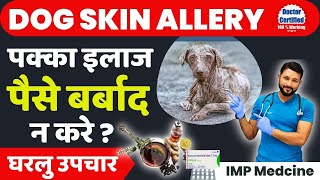 Dog Skin Allergy Treatment At Home 🏡 | Medicine 💊 | Kutte Ki Khujili Ka ilaj 🐶 Skin Allergy in Dogs