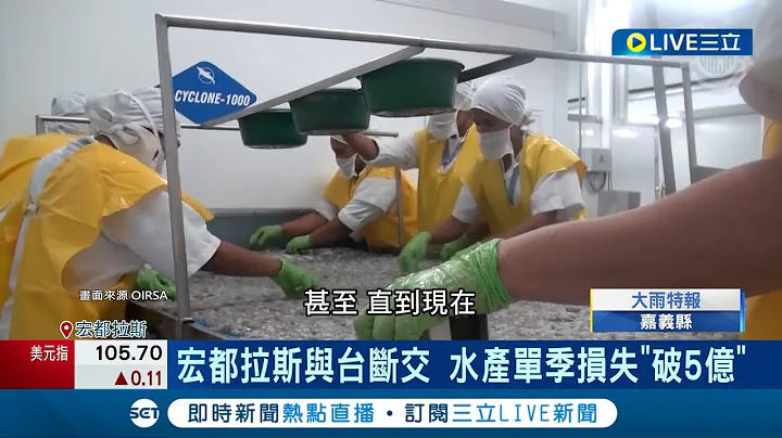 與台斷交後超慘! 宏都拉斯白蝦養殖場倒6成 與台斷交萬人失業! 宏國蝦農崩潰引發危機 中國不是好歸宿! 宏國蝦農盼轉賣南韓求生｜記者 劉玨妤｜【國際大現場】20240426｜三立新聞台 - 天天要聞