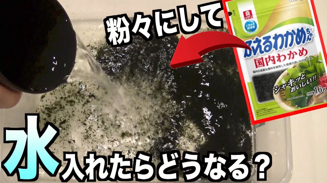 検証 乾燥ワカメを粉々にして水を入れた結果が Www Youtube