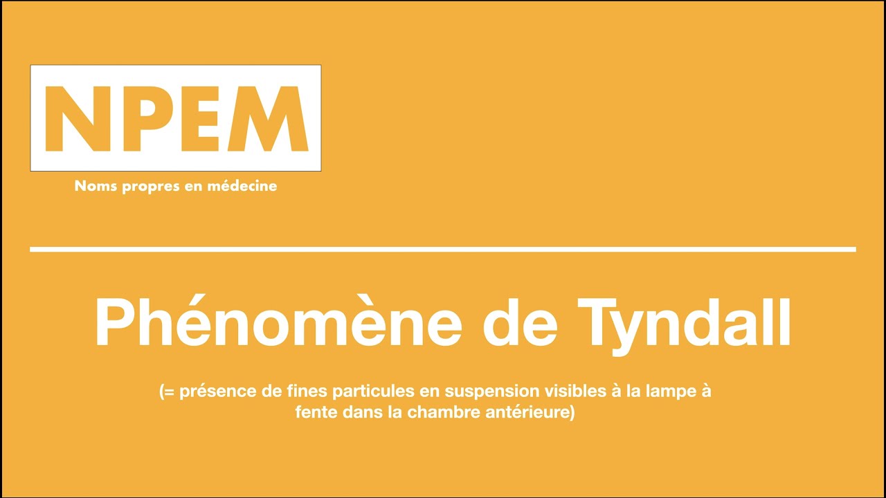 PHÉNOMÈNE DE TYNDALL NPEM YouTube