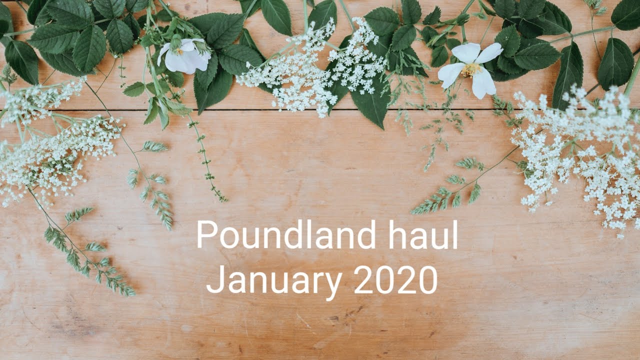 Poundland haul January 2020, and some craft plans