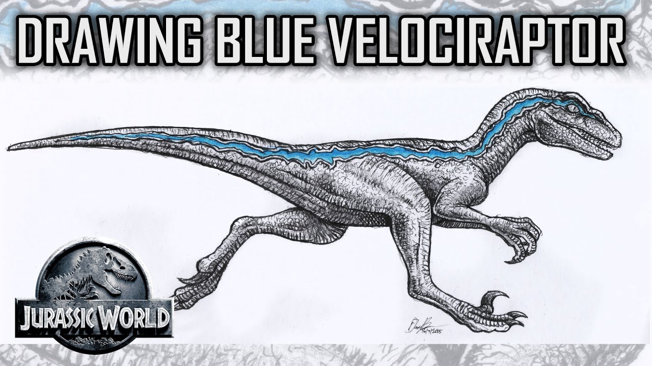 Drawing Skin Details For Blue The Velociraptor From Jurassic World In Fine Liner Marker Time Lapse Youtube