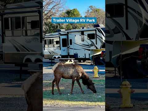 Video: Beste amerikanske nasjonalparker for camping