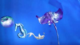 Famous processing (mouse, keypressed interaction) Profile