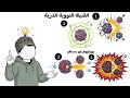 اخطر 5 قنابل في تاريخ البشرية