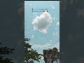 follow more song...!!