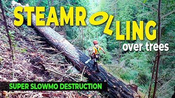 102. Steamrolling Saplings