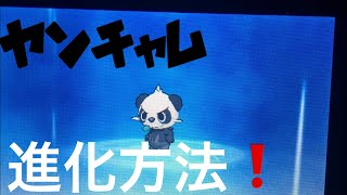 ポケモンウルトラサンムーン ヤンチャム進化方法 Youtube ポケモンウルトラサンムーン ヤンチャム進化方法 Youtube