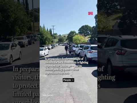 Bay Area Town