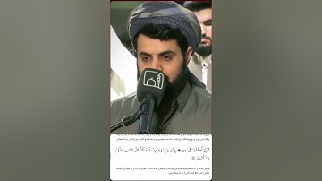 شيخ رعد الكردي حالات واتس اب | سورة (إبراهيم: ٢٦)