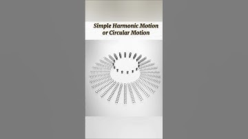 When Simple Harmonic Motion Looks Like Magic 😱 | Viral Science Shorts