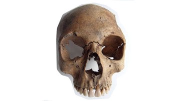 Isotope Analysis of Skeletons - Janet Montgomery