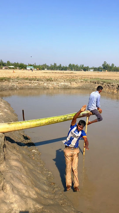 The boy came to cut the tree and fell