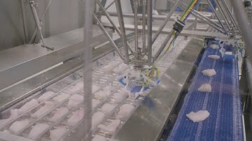 RoboBatcher Thermoformer