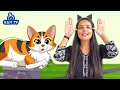 म्याऊं म्याऊं बिल्ली करती | Meow Meow Billi Karti | Kids Action Rhyme | SAM TV