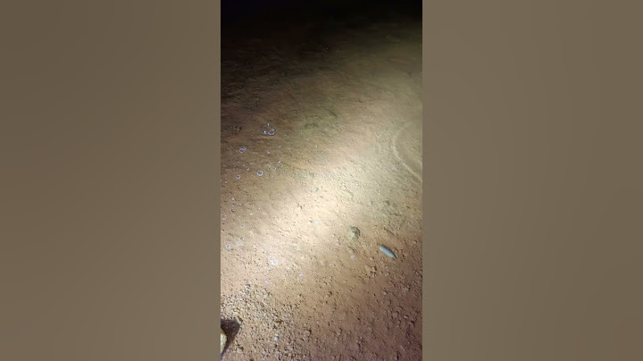 저수지 알수없는 물고기들이 바글바글... 이게 뭐죠??