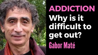 Cracking the Code of Addiction: Gabor Maté