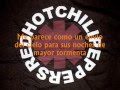 Red Hot Chili Peppers - She looks to me traducida