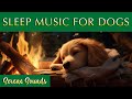 Dog Relaxation Music for Sleep🐾💤 Serene Sounds for Deep Slumber