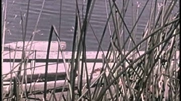 Re-Editing Prelinger Archives