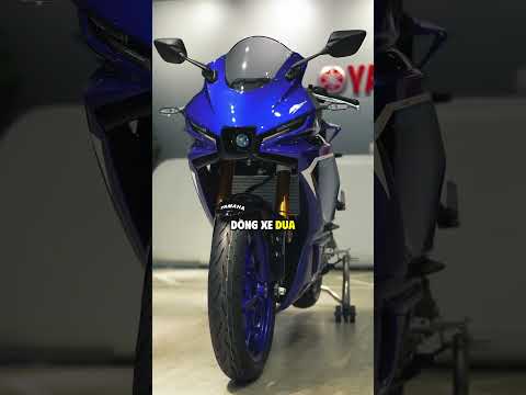 Phân biệt dòng xe Naked Bike và Sport Bike! #yamahar3 #mt03 #shorts