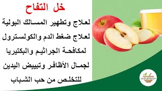 سبعة عشرة  فائدة صحية لخل التفاح ربما لم تكن تعرفها من قبل