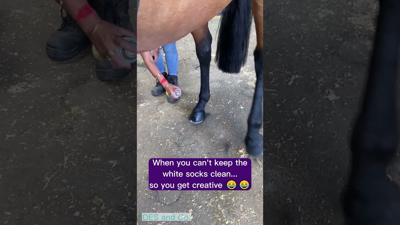 Nobody Will Know 🤫🤫 #horse #equestrian #makeup