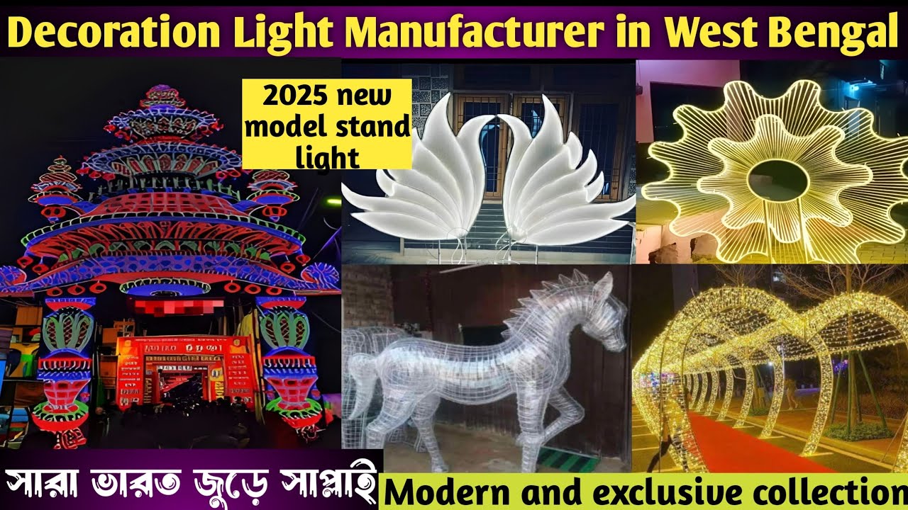 ২০২৫ দুর্গাপূজায় চন্দননগরে সেরালাইট/Decoration lights manufacturer/LED lights supplier/pixel light