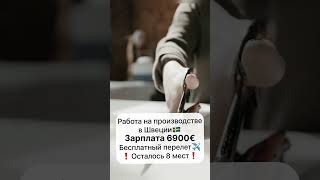 #европа 🇪🇺 #зарплата высокая 💶 Больше в Telegram @layboard #зароботок #работа #трудоустройство