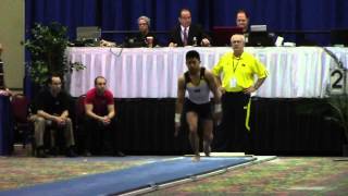 Adrian de los Angeles - Vault - 2014 Winter Cup Challenge Finals
