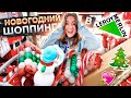 НОВОГОДНИЙ ШОПИНГ В ЛЕРУА МЕРЛЕН 🎄 VLOGMAS 🎅