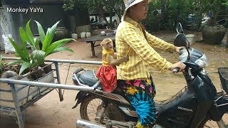 YaYar Follows Mom Planting Banana, Prepare Banana And Oil