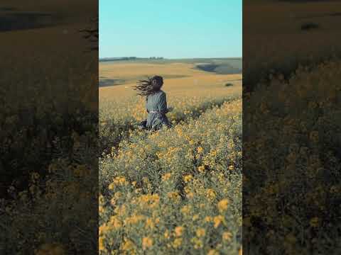 Каба гайда и красотата на Родопите Музика вдъхновена от природата Bagpipe Kabagaida