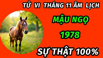Sự thật 100% trong tháng 11 âm lịch cho tuổi mậu ngọ 1978 bão lộc trúng mánh đổi đời giàu cực khủng 