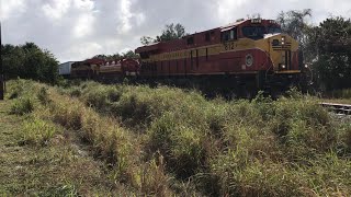 FEC TRAIN 210#952@12:37pm