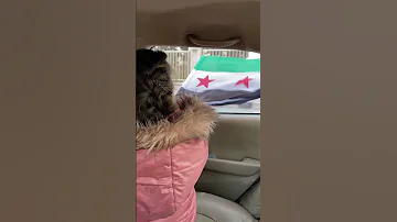 طير الحرية الطاير ناصيف زيتون Nassif Zeytoun سوريا سورية Viralvideo Reels Shorts Cute 