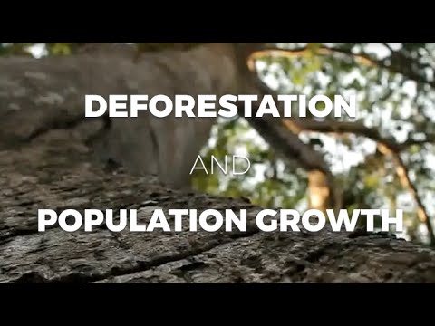 Deforestation and Population Growth