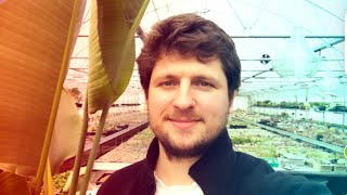 картинка: Цитрусовые, Стрелиция, кактусы и суккуленты обзор моей коллекции 03.04.21