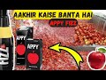 फैक्टरी मे Apple Juice कैसे बनता है? How Appy Fizz is Produced In a Factory?