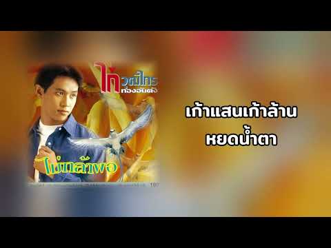 เก้าแสนเก้าล้านหยดน้ำตา - ไก่ วุฒิไกร ทองอันตัง {AUDIO}