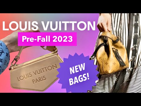 New 2023 LV Twinny Bag